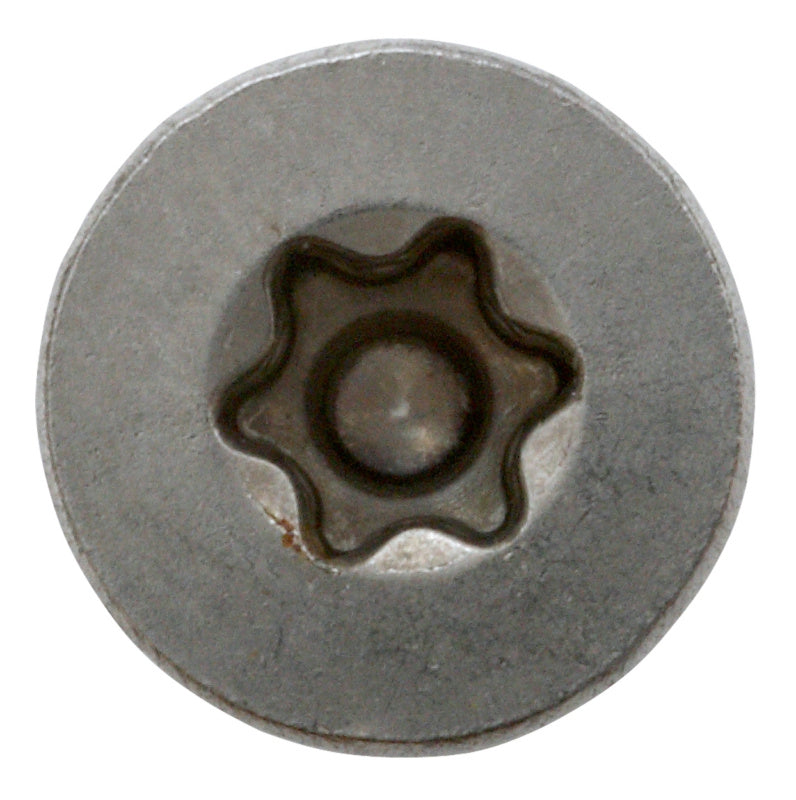 Vis formel f ttap 20 - INOX 4 x 50 mm incl. embout (100 pc) (fin assortiment)