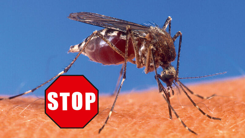 beko CareLine Insekten-STOP