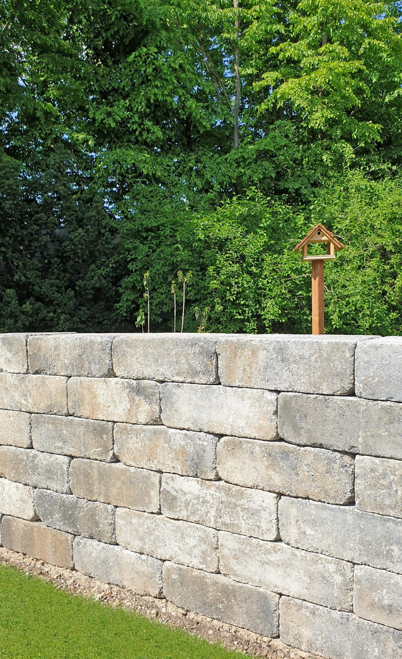 Burgmauer structure rocheuse 36,50x24x12,5 cm korall