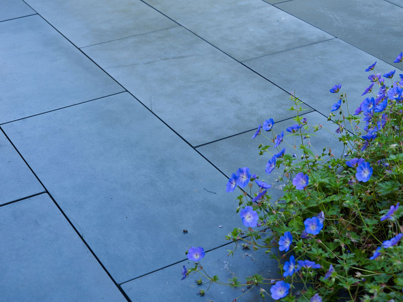Smooth megadalles blue + grey velvet
