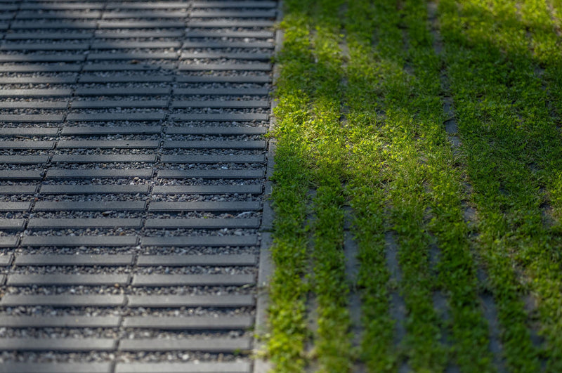 Eco grasslines small 25/25/10 cm carbon