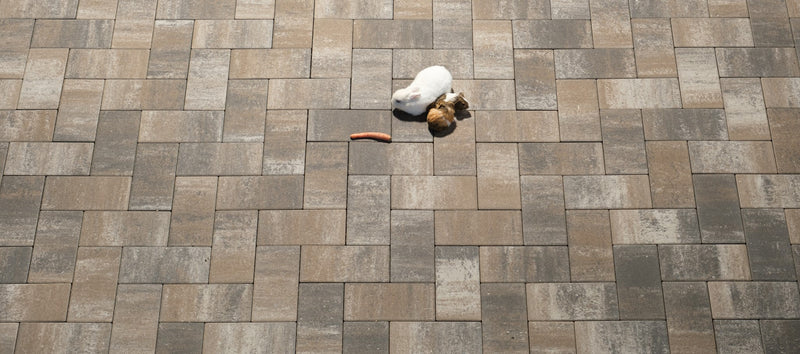 Europave 16X16X6 anthracite