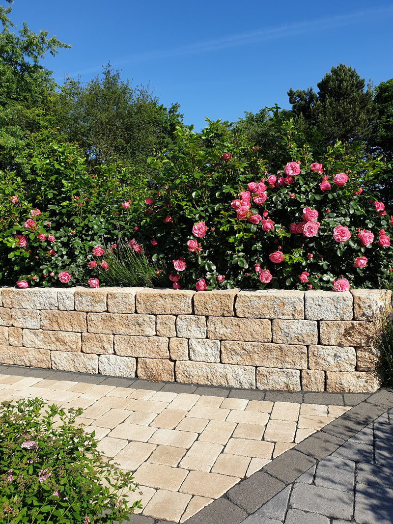 Pave rustique 14/21/8 cm sahara