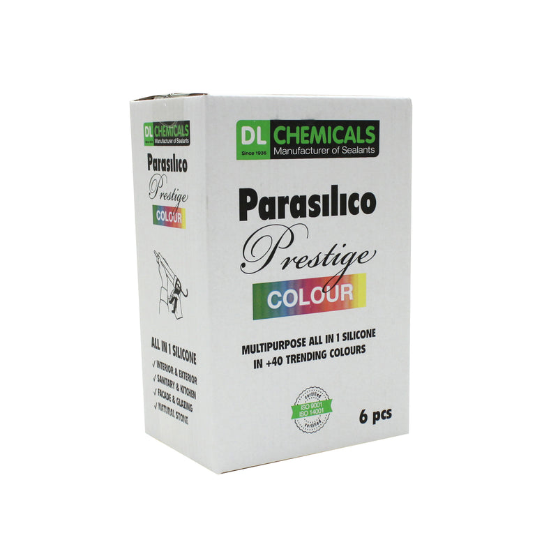 Parasilico prestige colour RAL 9002 gris-blanc 300ML