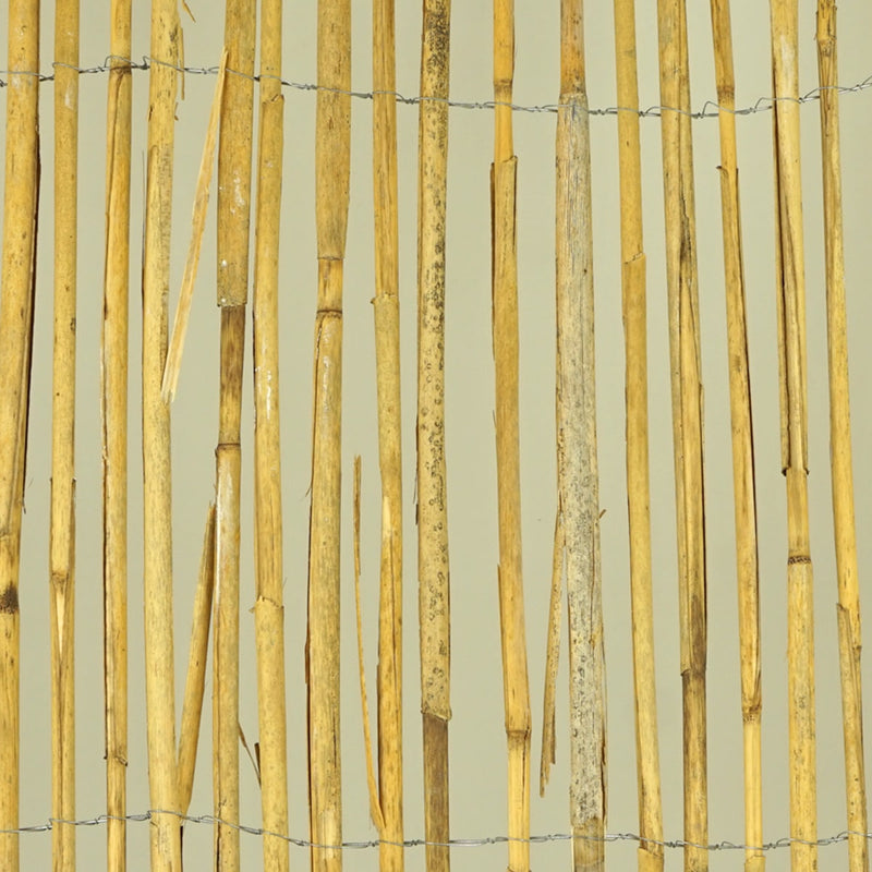 CL34001 tissu de roseau 70 tiges 1,80 x 10 m