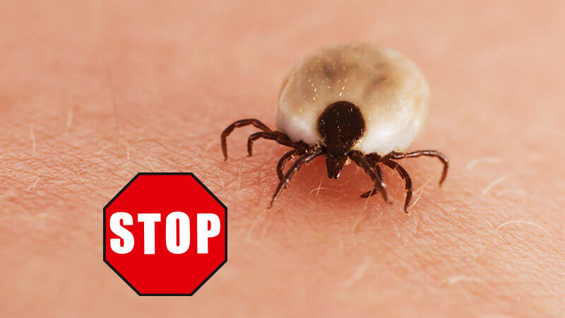 beko CareLine Insekten-STOP