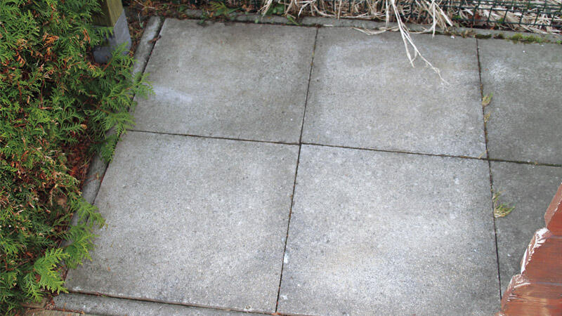 beko TecLine Anti-mousse / nettoyant dépôts verts -concentré- en bidon