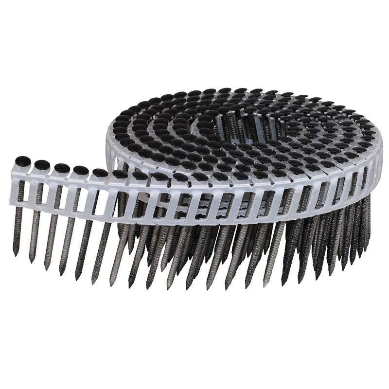 Clous à tête de lentille inoxydable 2,5 x 65 mm 1200 st/pak