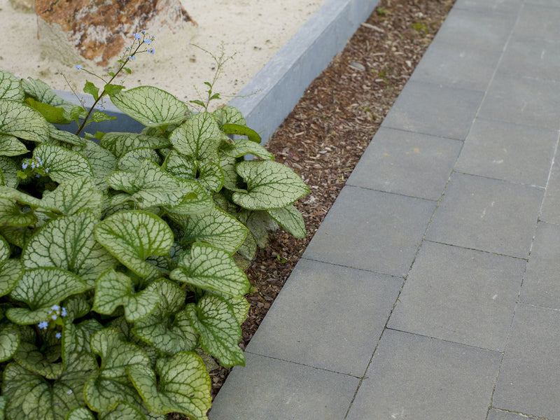 Pave cassaia 30/20/6 cm