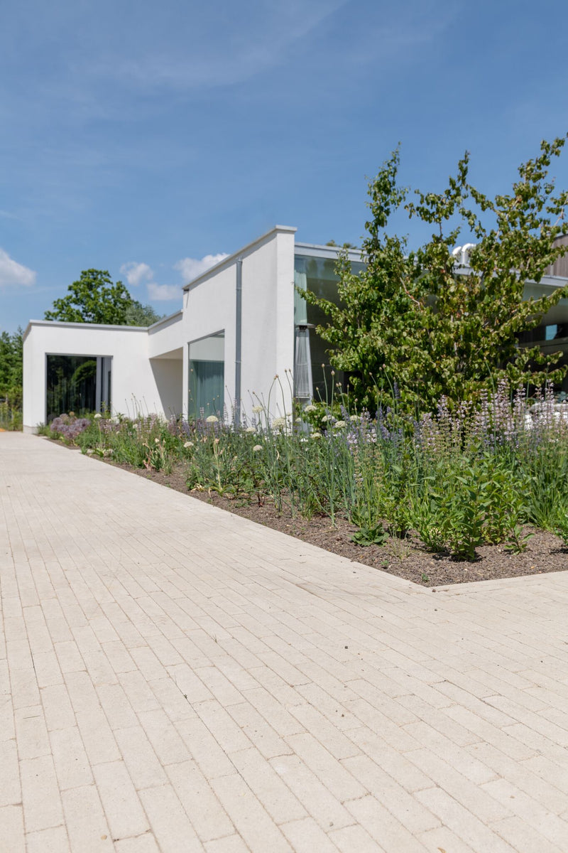 Pave cassaia 20/5/6 cm latte
