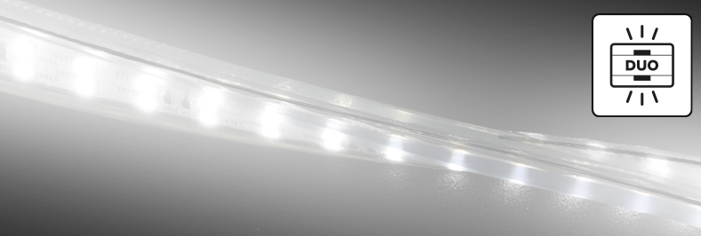 Bande LED High Power DUO sur enrouleur 25 m - 2x180led/m - L=16mm
