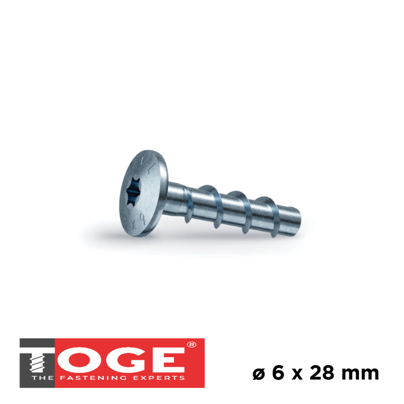 TSM L Vis à béton – TORX 30 avec grande tête bombée – Prix par boîte