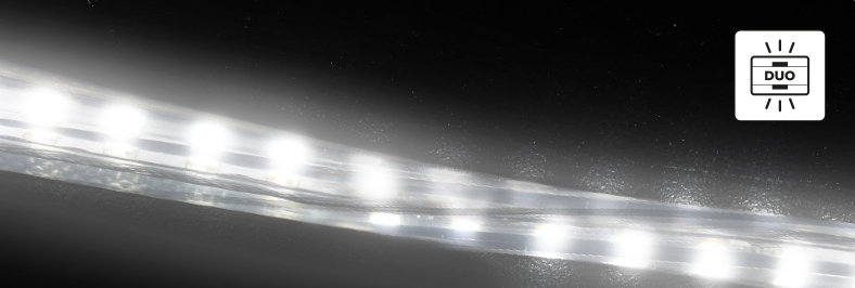Bande LED DUO 10m sur enrouleur fermé - 2x60led/m - L=12mm